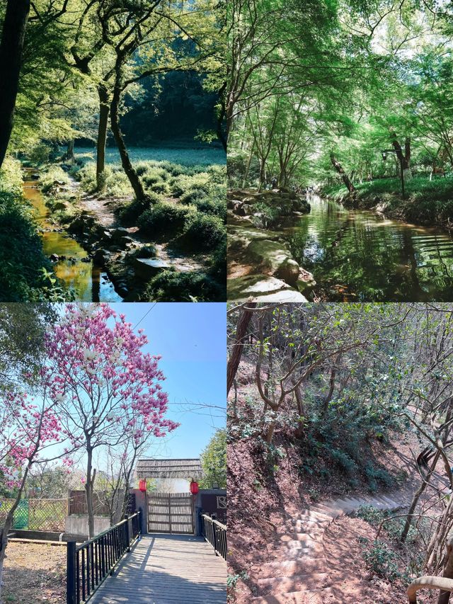 上海出發1小時到達嘅清涼避暑勝地，被朋友圈問爆