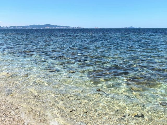 去咗4次養馬島，終於玩明白晒！