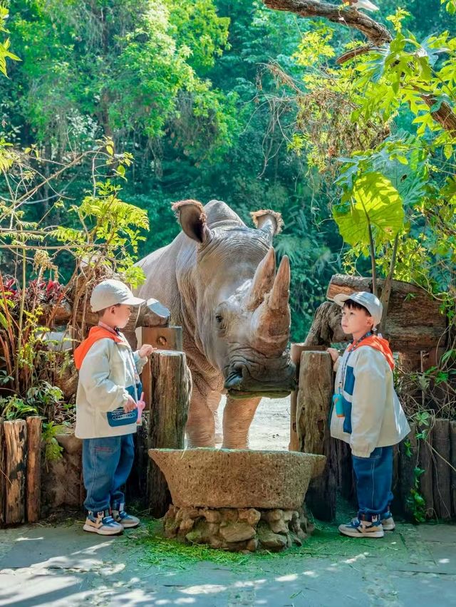 雲南隱藏玩法！帶小朋友去動物鄰居家「作客」