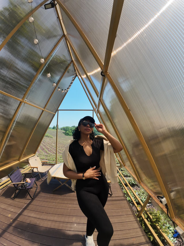 🧘🏽‍♀️🏕️Nature and Fresh Air with Views in Anji 🍀🌴