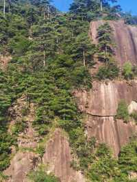 雲谷索道——於雲端，邂逅黃山的詩意靈魂