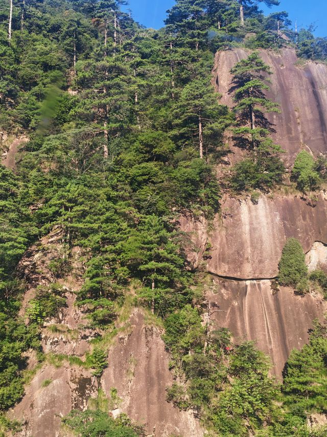 雲谷索道——於雲端，邂逅黃山的詩意靈魂