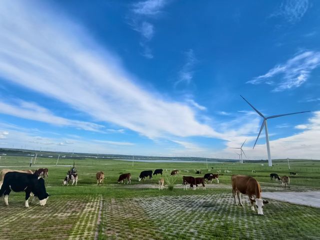 河北避暑民宿加賽羊會,住到秋天都不想走! 河北避暑民宿加賽羊會,住到秋天都不想走!