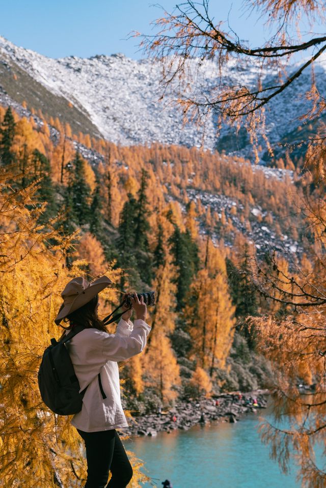 黨嶺彩林雪山徒步