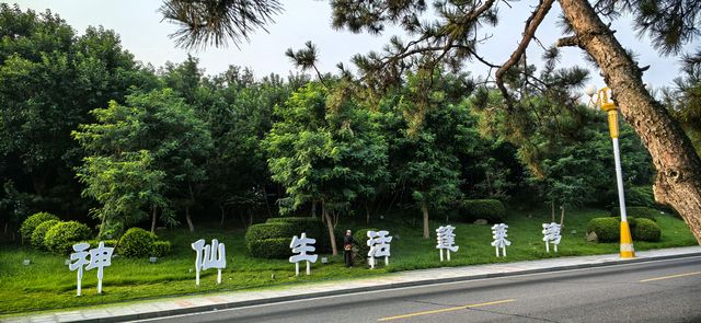 仙境蓬萊 仙境蓬萊