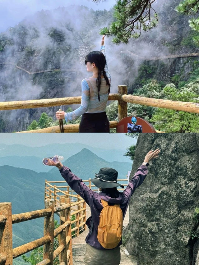 明月山的滿格綠意 明月山的滿格綠意