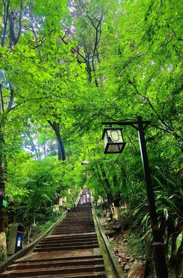 Chengdu's Hidden Gems: Unique Attractions Beyond the Usual Choices