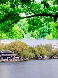 寧波月湖公園 | 千年古韻，一部寧波史，半部在月湖