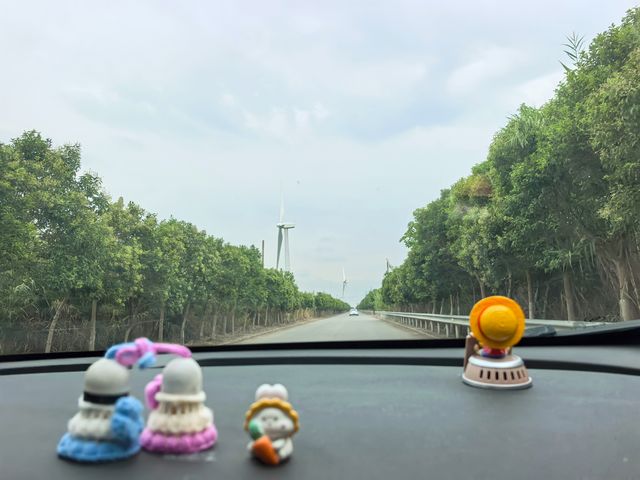 海上草原 - 黑沙灘