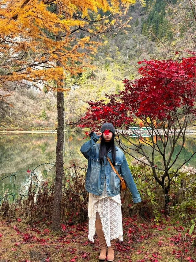 10月畢棚溝豪賭成功