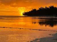 Resort Bliss in Nature's Embrace