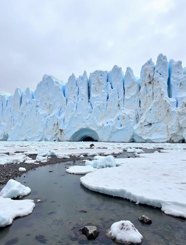冰島奇幻之旅｜探秘藍冰洞這輩子總要當一次星際旅行家！