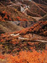 沁河峽谷自駕｜闖入晉東南秋日畫廊