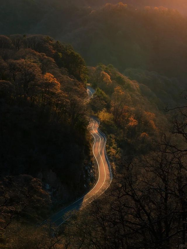 合肥周邊遊推薦:馬丁公路賞秋全攻略 合肥周邊遊推薦:馬丁公路賞秋全攻略