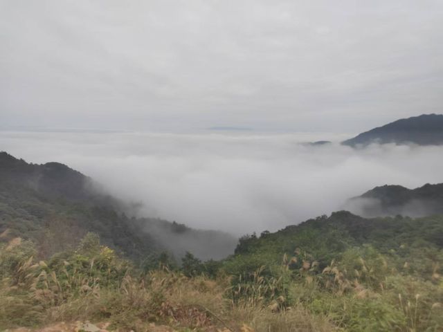 信宜李鄉竹海旅遊度假區