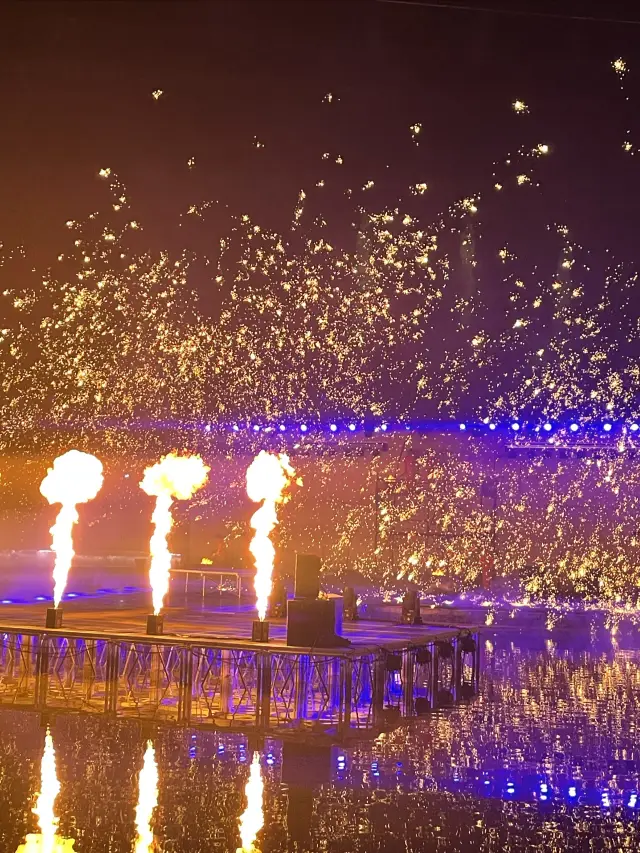 A Wonderful Night at World Park, Watch the Spectacular Iron Flower Show