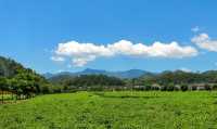 廈門周邊1h直達！藏在土樓旁的「漫畫稻田」，治癒所有疲憊
