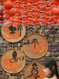 邂逅滿山都是紅柿子的600年遺世古村