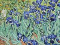 洛杉磯 盖蒂中心 格里菲斯天文台 植物園