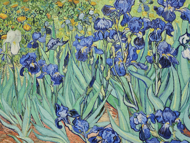 洛杉磯 盖蒂中心 格里菲斯天文台 植物園