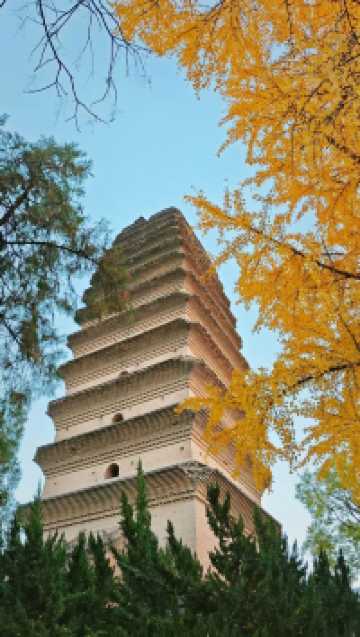 小雁塔秋色,一夢回長安