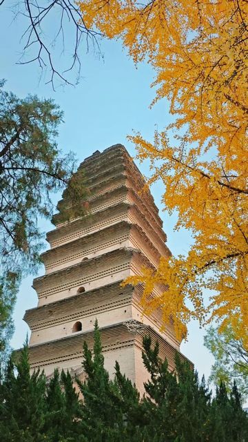 小雁塔秋色,一夢回長安 小雁塔秋色,一夢回長安