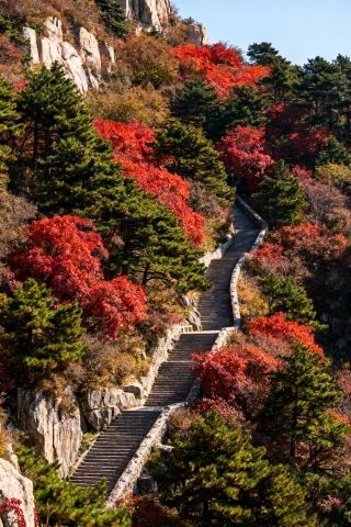 Great family trip destination! Super cost-effective one-day tour in Shandong