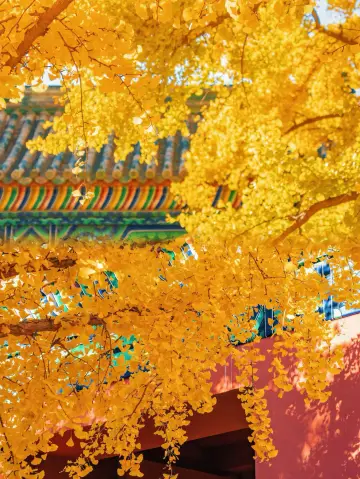 古都金秋獨家拍攝指南