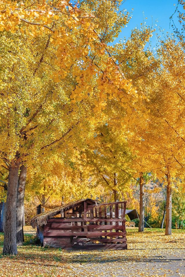 北京周邊這處神仙秘境我不允許還有人不知道！