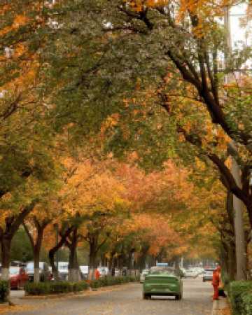還得是西安的小香港啊!紡正街