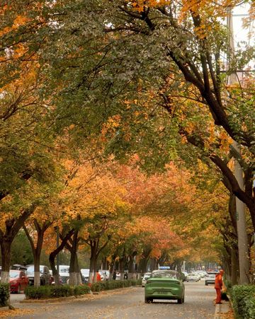 還得是西安的小香港啊!紡正街 還得是西安的小香港啊!紡正街
