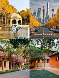 真的好期待上海的秋天!梧桐落葉是上海的秋意