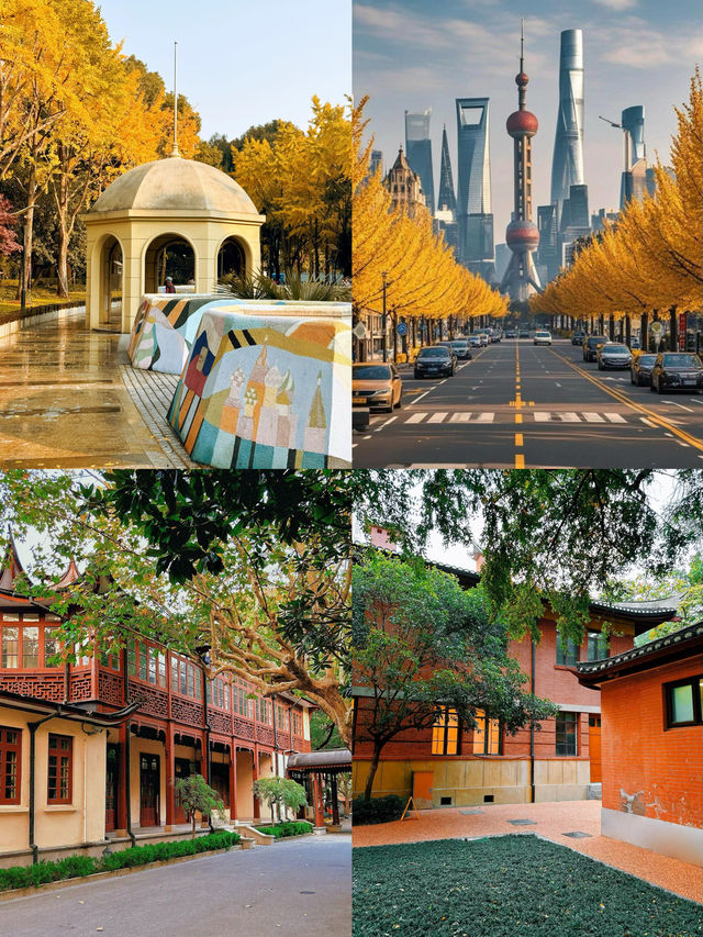 真的好期待上海的秋天!梧桐落葉是上海的秋意 真的好期待上海的秋天!梧桐落葉是上海的秋意