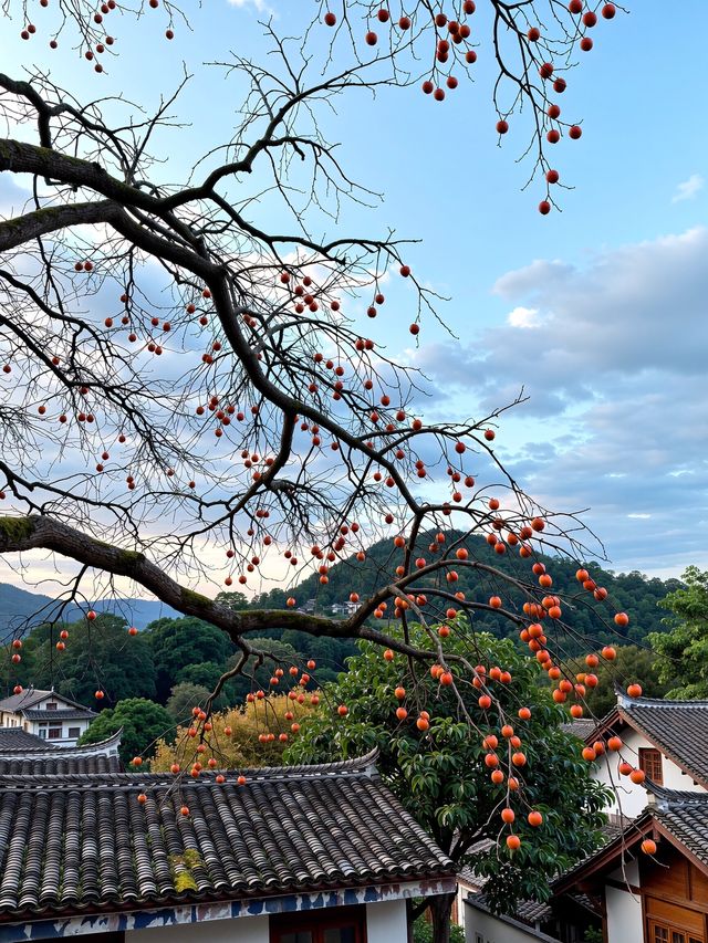 溫州永嘉東爐村|被柿子包圍的秋日童話!比西爐村更驚豔! 溫州永嘉東爐村|被柿子包圍的秋日童話!比西爐村更驚豔!