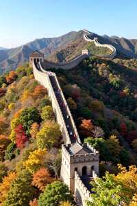 北京隱藏的「小興安嶺」被我找到了！秋日必衝絕美秘境