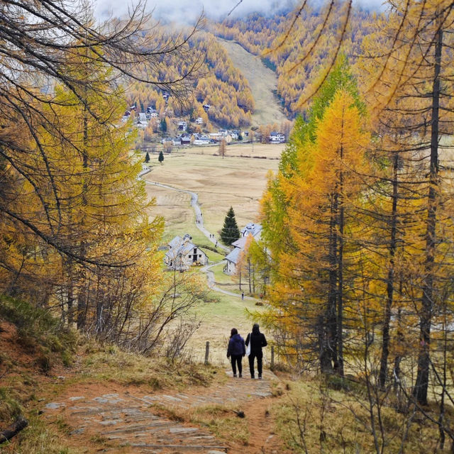 🌫️ 안개 낀 알프스의 숨겨진 보석, 알페 데베로