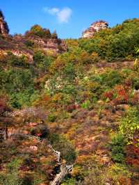 山林古道美如畫