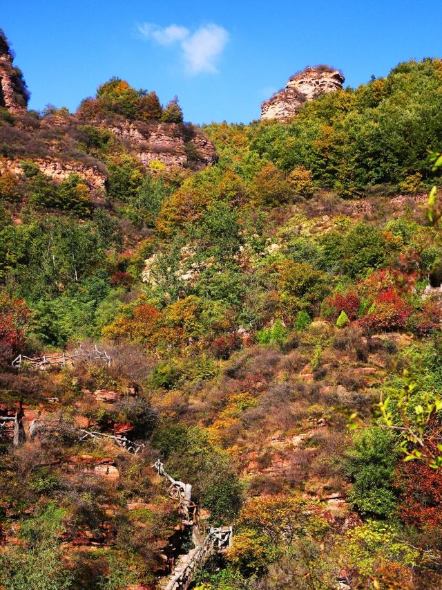 山林古道美如畫