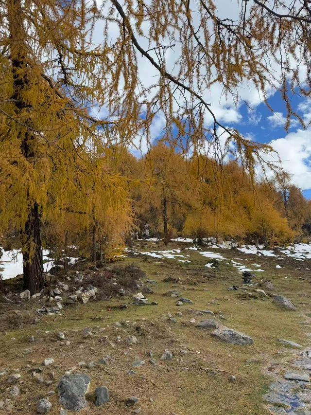 川西冬日天花板！木格措靚到令人詞窮