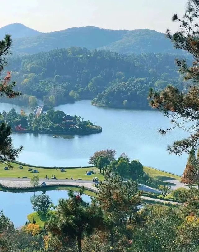 歡迎來銀杏湖遊玩