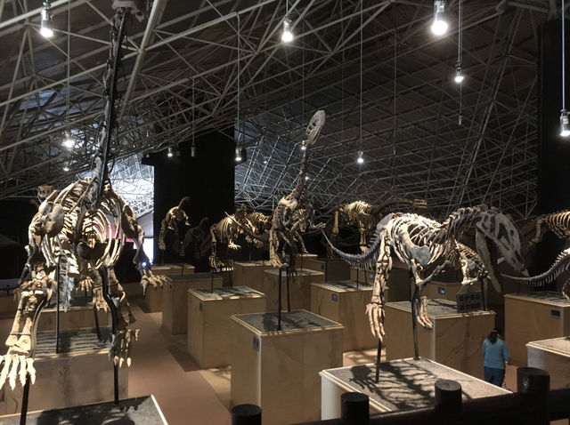 所謂「北有兵馬俑,南有恐龍谷」楚雄世界恐龍谷全攻略 所謂「北有兵馬俑,南有恐龍谷」楚雄世界恐龍谷全攻略