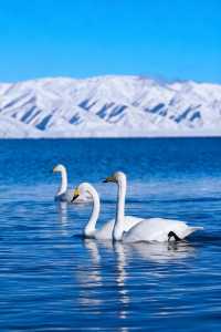 我會反覆愛上賽里木湖的冬天！