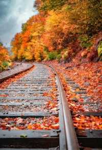 霜染鍋盔鋪錦繡 暖居枕秋入夢來