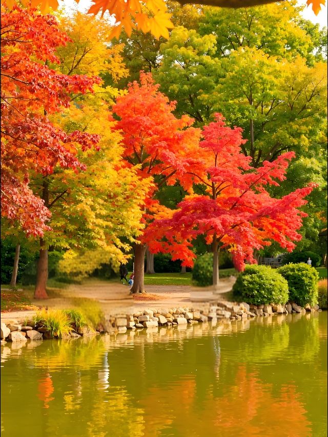 秋日限定｜雲平山私藏童話秘境小眾到喊！