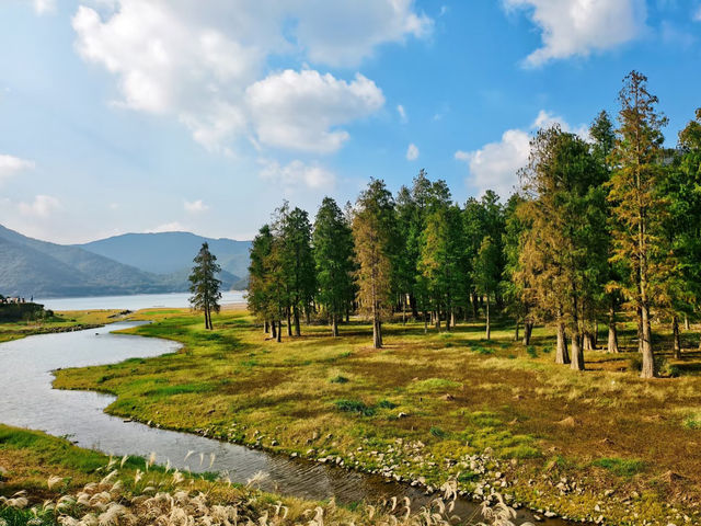 上海3h直達!初冬闖入畫龍村,在浙東古道邂逅瀑布梯田與治癒 上海3h直達!初冬闖入畫龍村,在浙東古道邂逅瀑布梯田與治癒