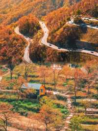羅田九資河保姆攻略！紅葉巔峰古村煙火，隨手拍都是壁紙級大片