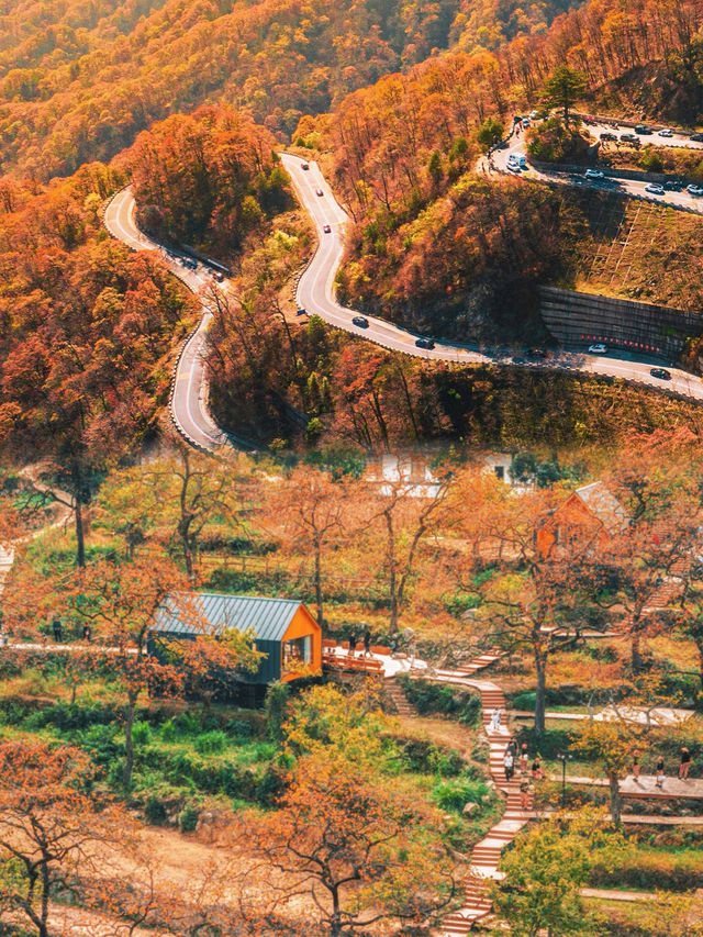 羅田九資河保姆攻略！紅葉巔峰古村煙火，隨手拍都是壁紙級大片