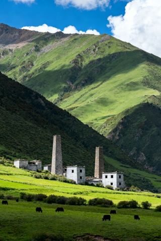 紅色迭部·生態秘境 | 探尋"東方伊甸園"的奇幻之旅