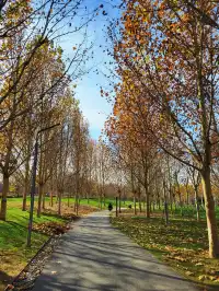 官宣石家莊的封神秋色在這裡