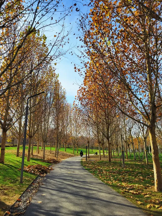 官宣石家莊的封神秋色在這裡